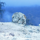 Fotos: NSW National Park and Wildlife Service of Australia